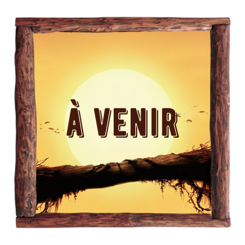 À VENIR – TOM SAWYER